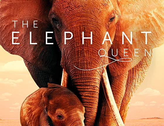 The Elephant Queen (2019) อัศจรรย์ราชินีแห่งช้าง