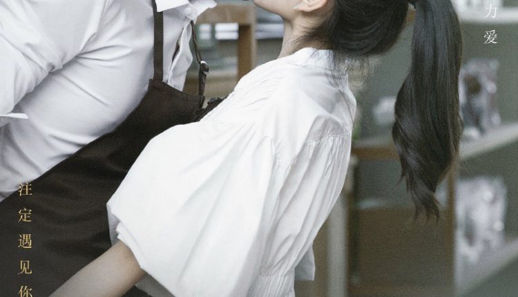 You Are My Destiny ซับไทย