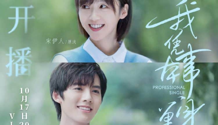 Professional Single (2020) โสดฉบับมืออาชีพ ซับไทย