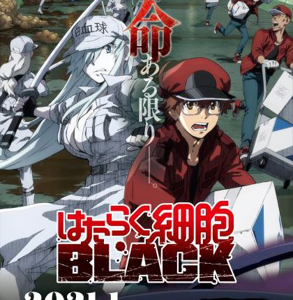 Cells at Work! BLACK ซับไทย