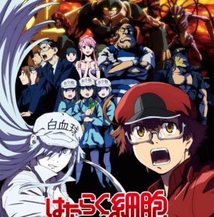 Hataraku Saibou Black เซลล์ขยัน พันธุ์เดือด แบล็ค ซับไทย