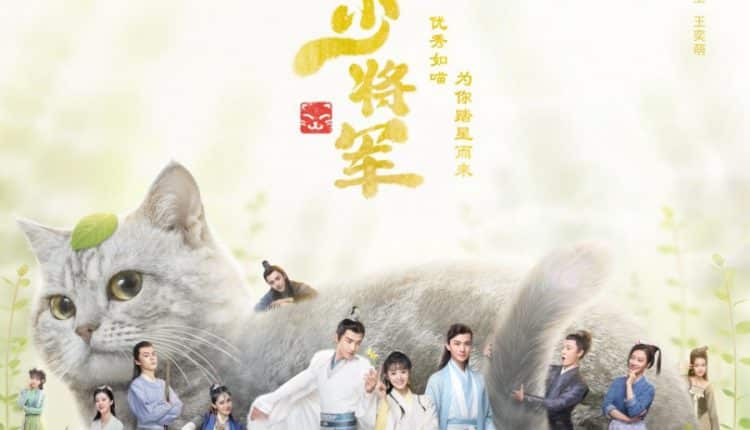 สัตว์เลี้ยงของข้าคือองค์ชายแมวเหมียว (2021) Be My Cat ซับไทย