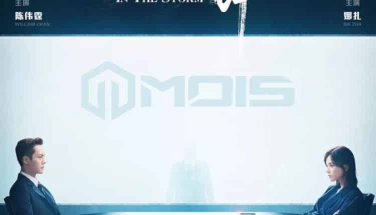 Dancing in the Storm (2021) ซับไทย