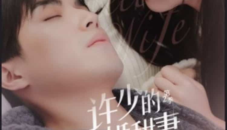 Hidden Sweet Wife Season 2 (2021) ภรรยาแสนหวานที่ซ่อนอยู่ของสวี่เช่ว ภาค 2 ซับไทย