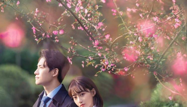 Fall In Love With My Trouble Season 2 ซับไทย