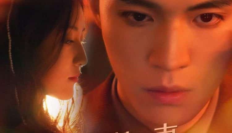 Warm Marriage and Petting Wife (2021) ซับไทย