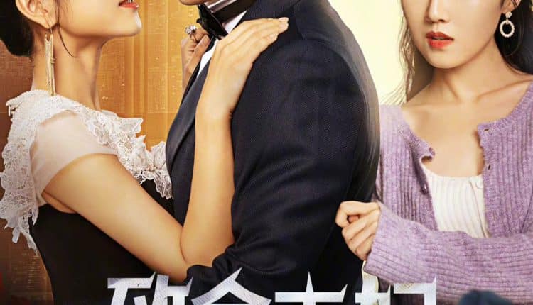 Mortal House wife (2022) คมรักเมียหลวง ซับไทย