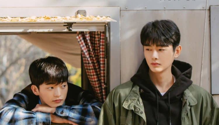 Cherry Blossoms After Winter ซับไทย