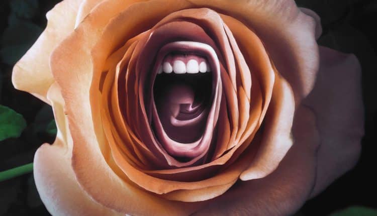 Roar Season 1 (2022) ซับไทย