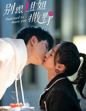 เดสทินี รักนี้พี่ขอ Destined to Meet You พากย์ไทย