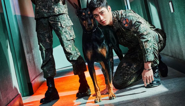 Military Prosecutor Doberman (2022) คู่หูอัยการทหาร โดเบอร์แมน พากย์ไทย