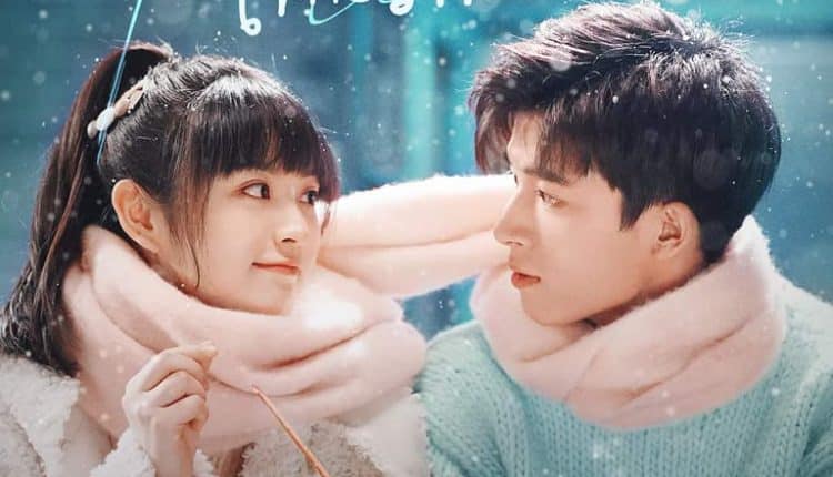 First Love (2022) วุ่นนักโจทย์รักแรก ซับไทย