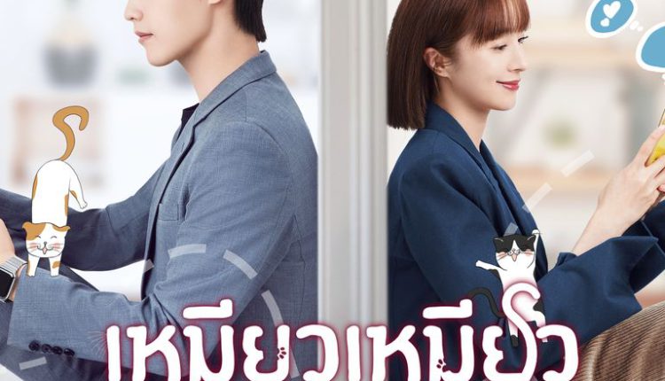 Accidentally Meow on You (2022) เหมียวเหมียวเกี่ยวใจให้เจอรัก ซับไทย
