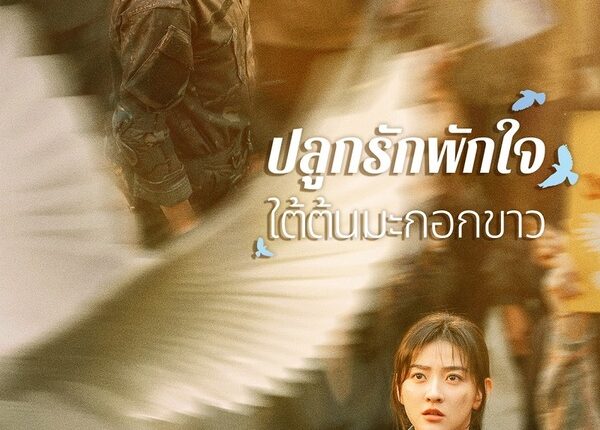 The White Olive Tree (2025) ปลูกรักพักใจ ใต้ต้นมะกอกขาว พากย์ไทย